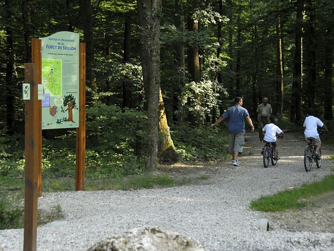 Forêt de Seillon_Bourg_en_Bresse