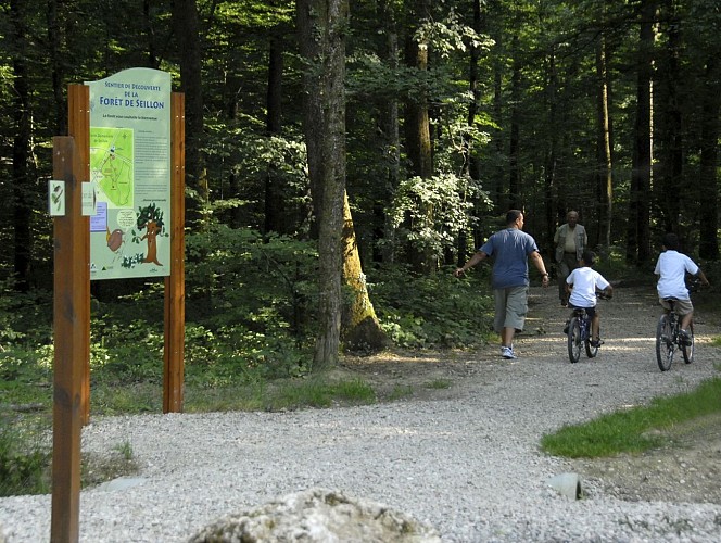 La forêt domaniale de Seillon