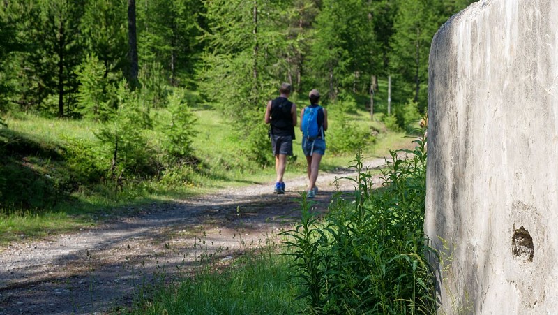 Randonnée  – Le belvédère du Bois de Sestrières