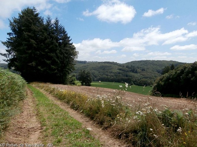Vue sur la vallée de la Maulde
