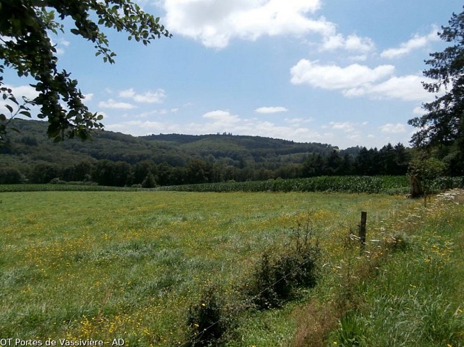 Vue sur la vallée de la Maulde
