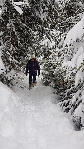 Circuit des animaux de montagne AGS