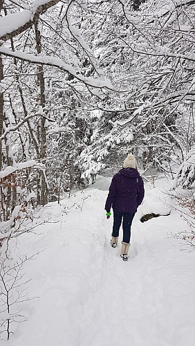 Circuit des animaux de montagne AGS