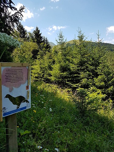 Circuit pédestre des animaux de montagne