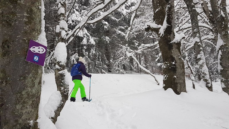 Strecke zum Schneeschuhwandern im "Bois Faudant" (Wald)