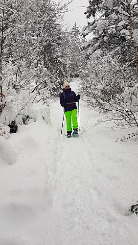 Strecke zum Schneeschuhwandern im "Bois Faudant" (Wald)