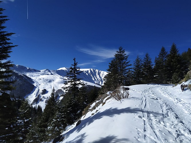 Circuito con rachette da neve del Louvet