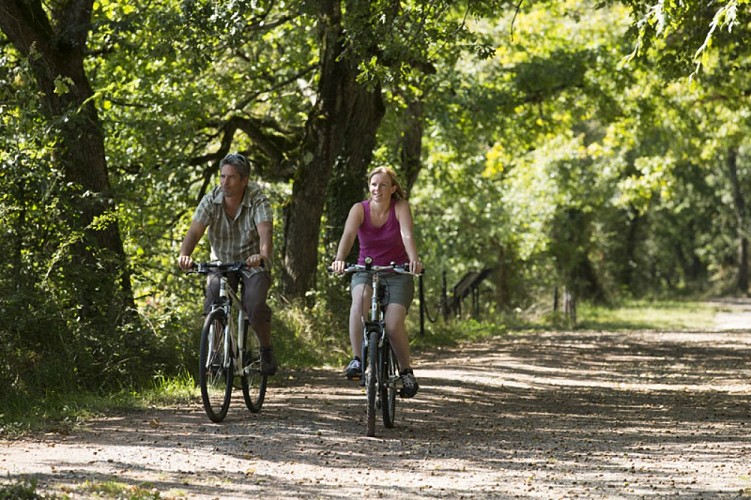 2014-09-HVI--Mer-Rouge-13-AN-34536-2