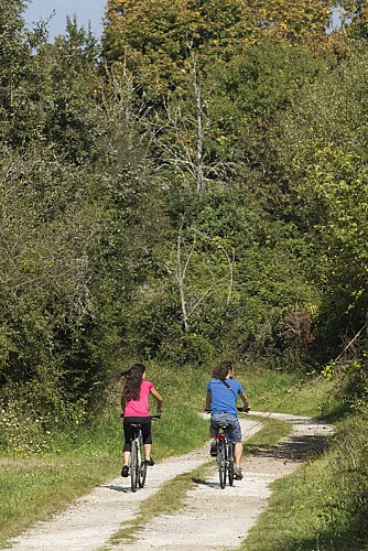 2014-09-HVI--Maison-du-Parc-12-AN-34182