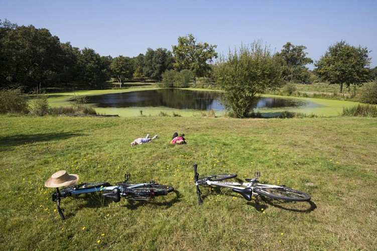 2014-09-HVI--Maison-du-Parc-5-AN-34167