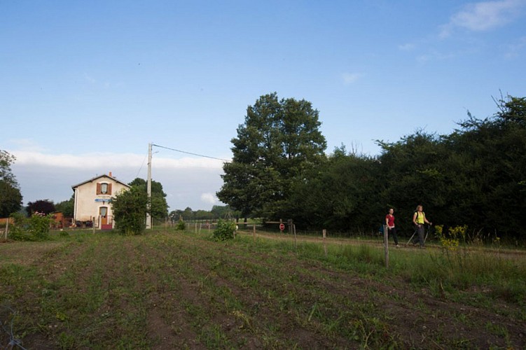 Par la voie verte - En cheminant