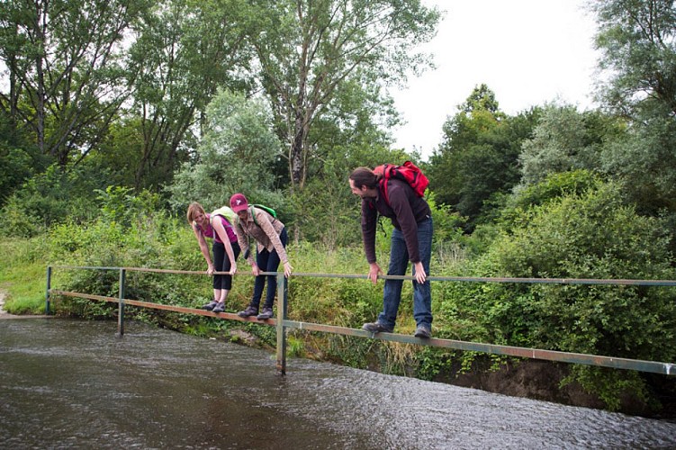 Le Suin, du calcaire à l'argile -Passage à l'étang de la Hire