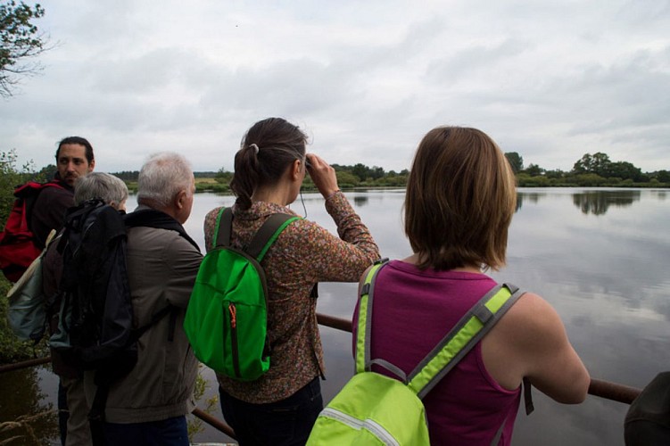 Le Suin, du calcaire à l'argile - Pause à l'étang de la Hire