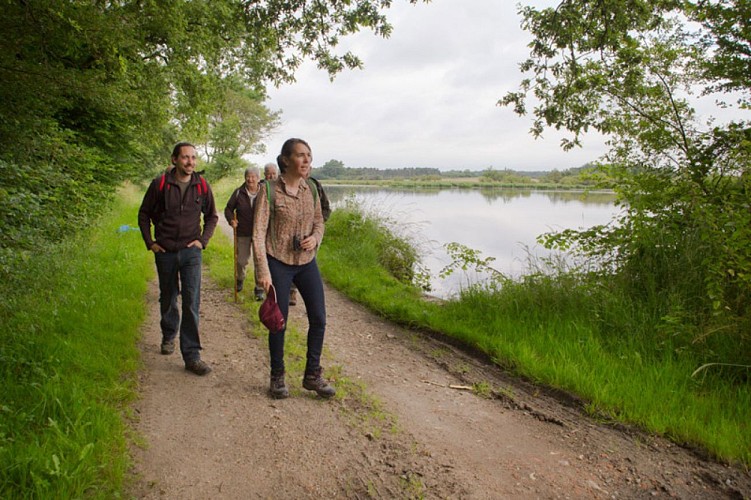 Le Suin, du calcaire à l'argile - Cheminement vers l'étang de la Hire