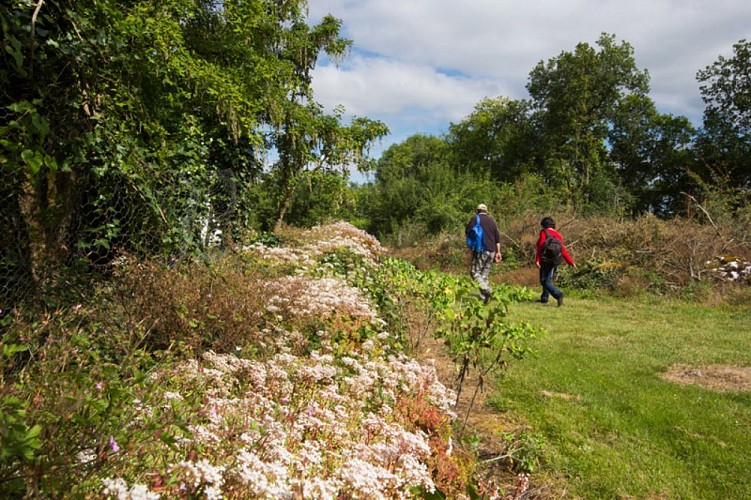 Le bois des Roches - En arrivant dans la hameau