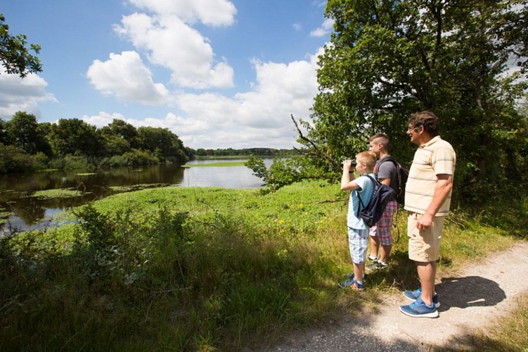Des bords d'étangs au bord de Creuse - Vers les étangs Riau