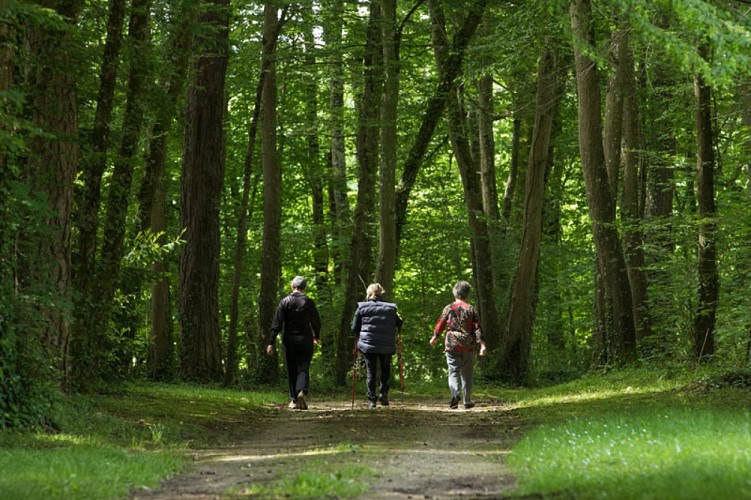 Le château et ses demoiselles - Dans le parc