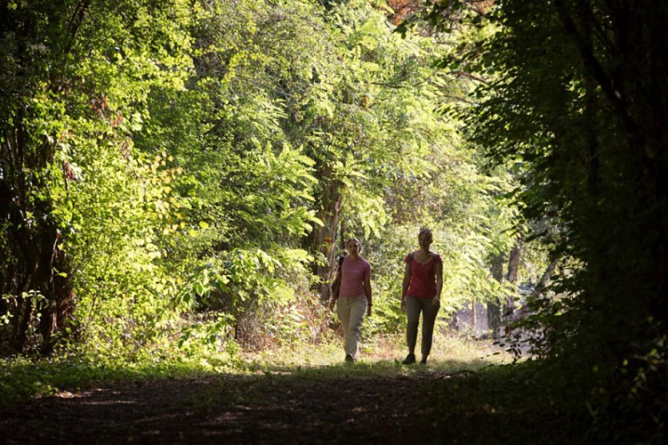 Les bords de l'Anglin - Sur les chemins
