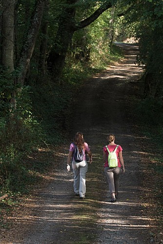 L'eau, la terre, l'air, le feu - Sur les chemins