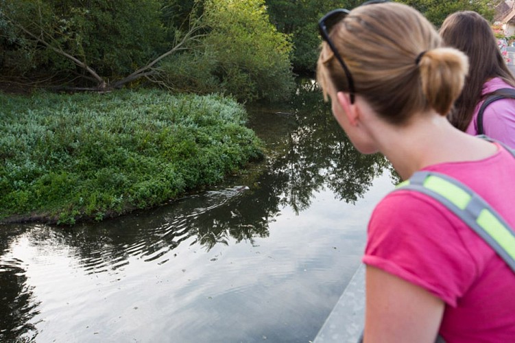 L'eau, la terre, l'air, le feu - En regardant l'Anglin