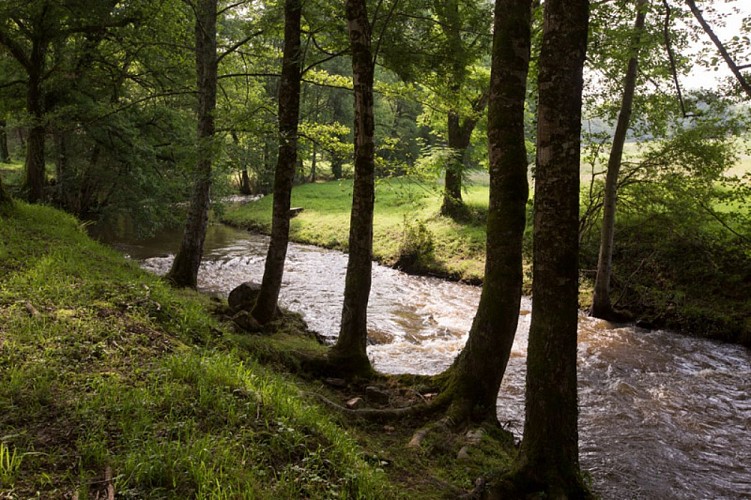 Les coteaux de l'Abloux - Bord de rivière