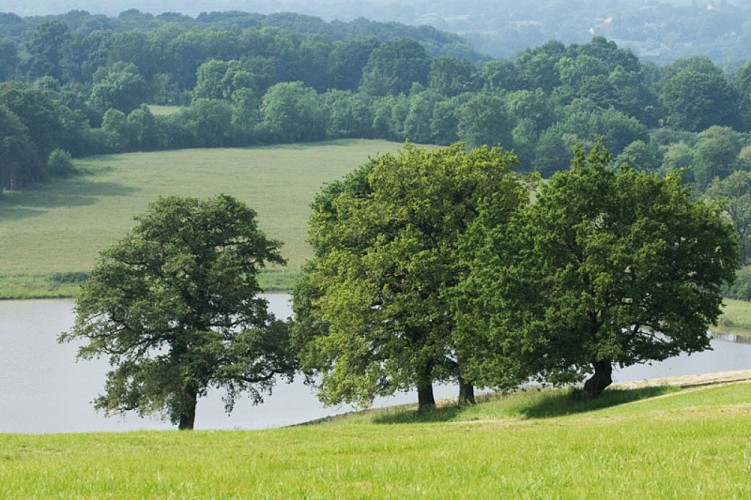 Les coteaux de l'Abloux - Vue sur le paysage