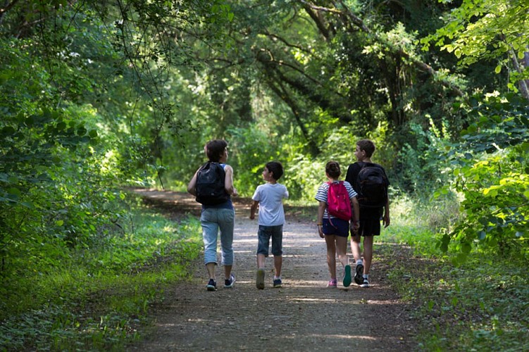 Rive gauche, rive droite - Sur la voie verte