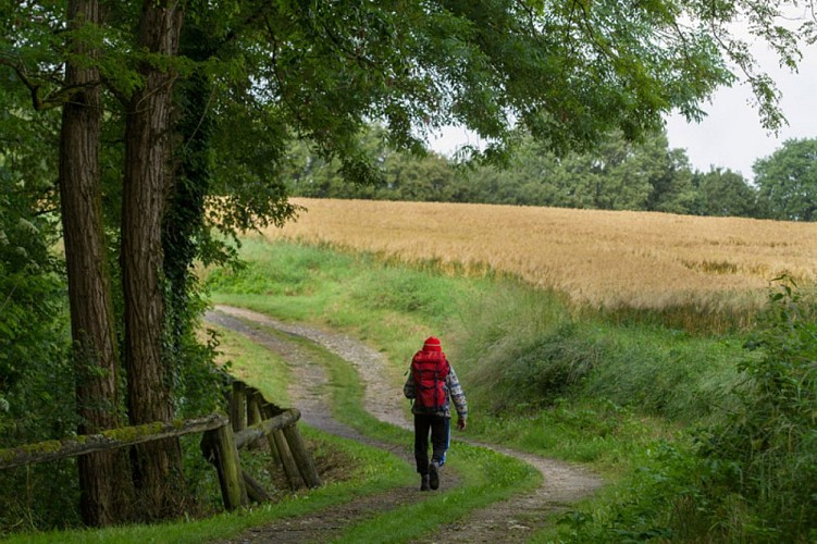 Le Saint-Fleuret - Sur les chemins
