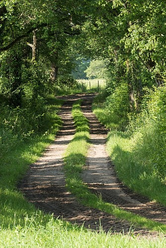 La vallée de la Benaize - Sur les chemisn