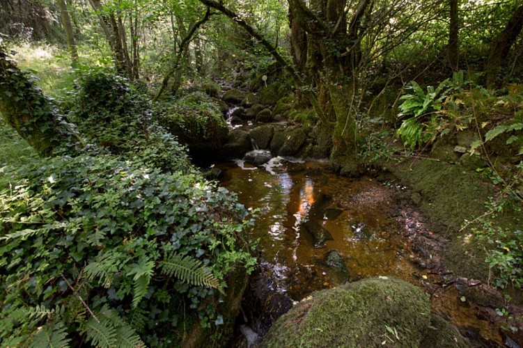 La vallée de la Benaize - Cours d'eau en bord de chemin