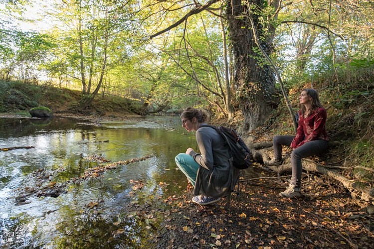 La vallée de la Benaize - Au bord du gué Bouigeon