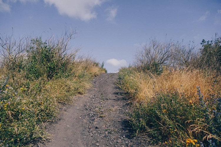 GR412 - Boucle noire