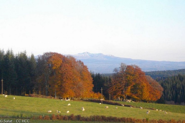 Two peaks circuit, short variant