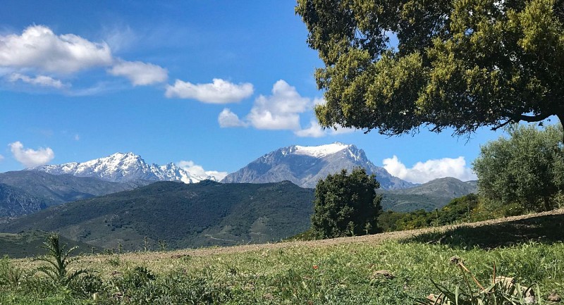 VTT FFC 9 : Fiuminale