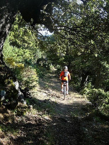 VTT FFC 9 : Fiuminale