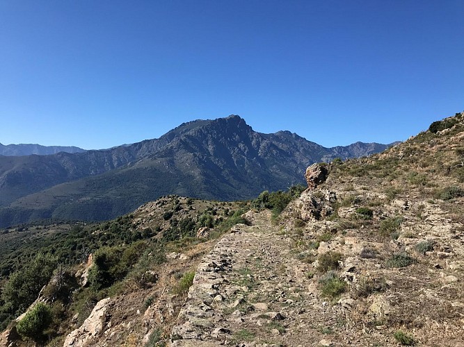 VTT-FFC 10 : Maltiola