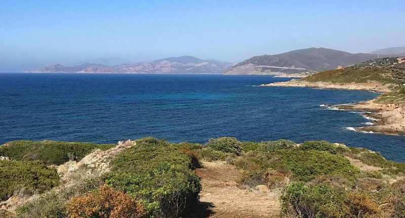 VTT FFC 12 : Saleccia