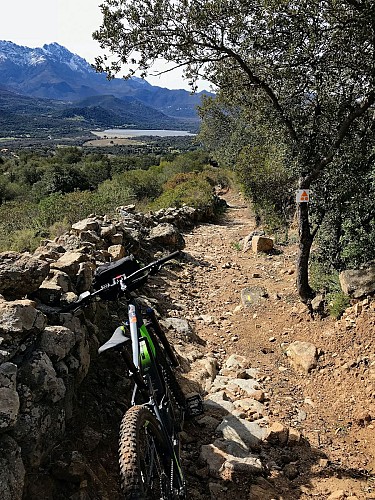 VTT FFC 12 : Saleccia