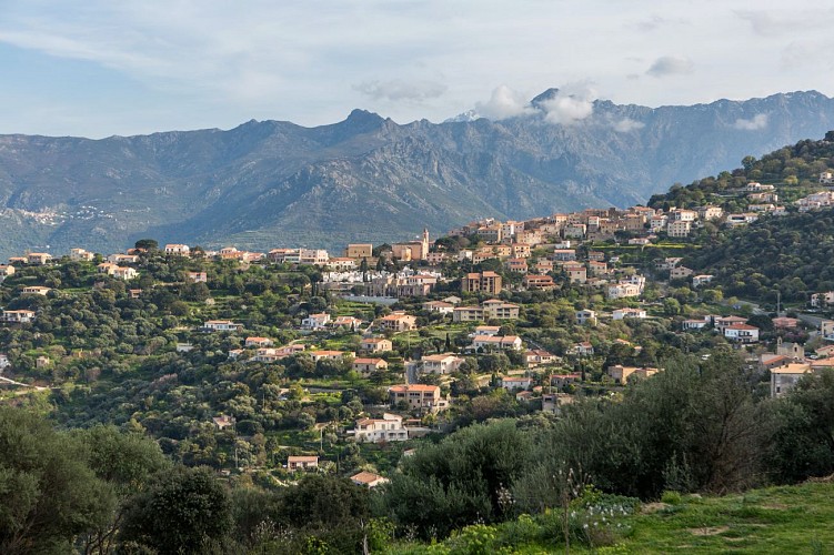 VTT FFC 12 : Saleccia