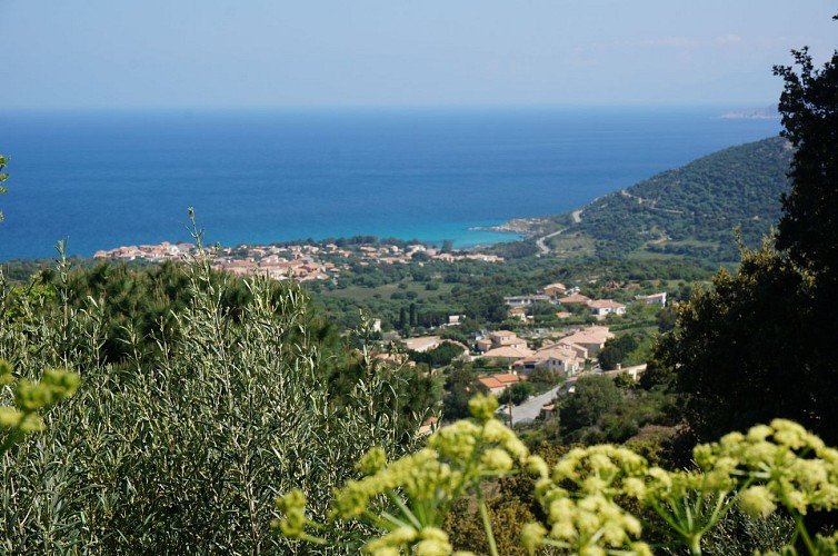 Giru di L'Île-Rousse Sta Reparata Monticello