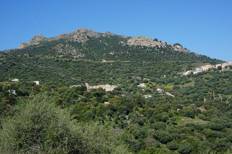 Hiking n°5 - Walk around the hamlets of Santa Reparata di Balagna