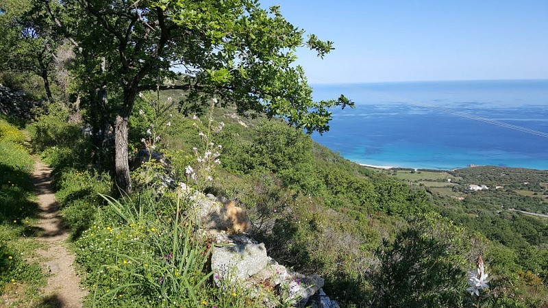 Rando 1 Corbara Pigna Varcale