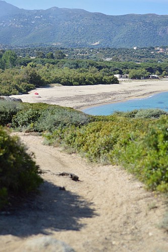 Rando 1 Corbara Pigna Varcale