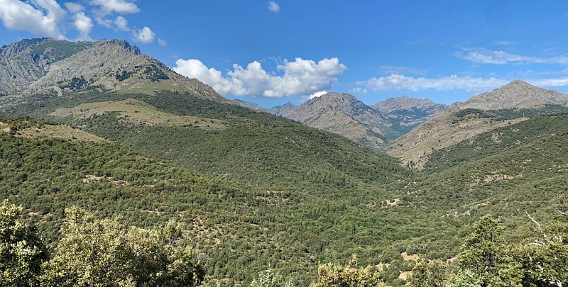 Randonnée Natura 2000 de Vallica