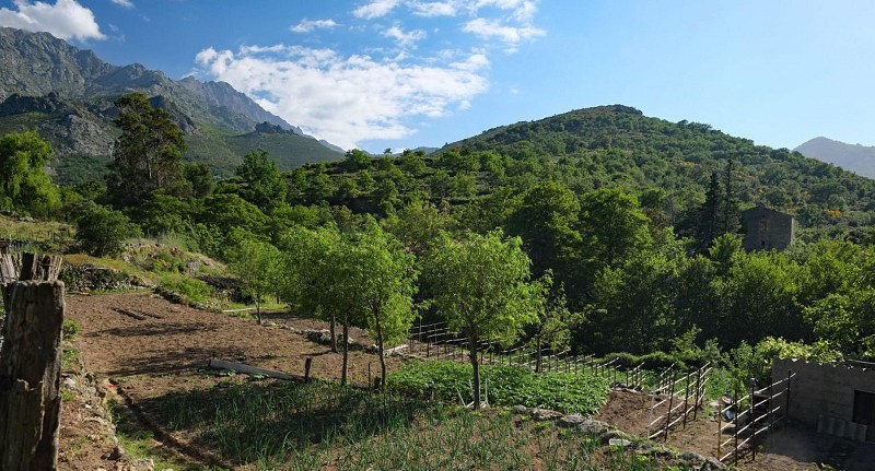 Rando 23 : Boucle de Sant'Andria (Nessa)