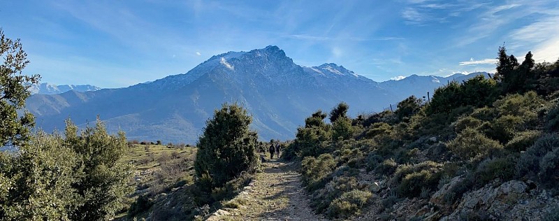 Hike 38 : Giru di a cima Tornaghja