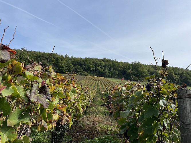 Autour du Mont Saint Roch