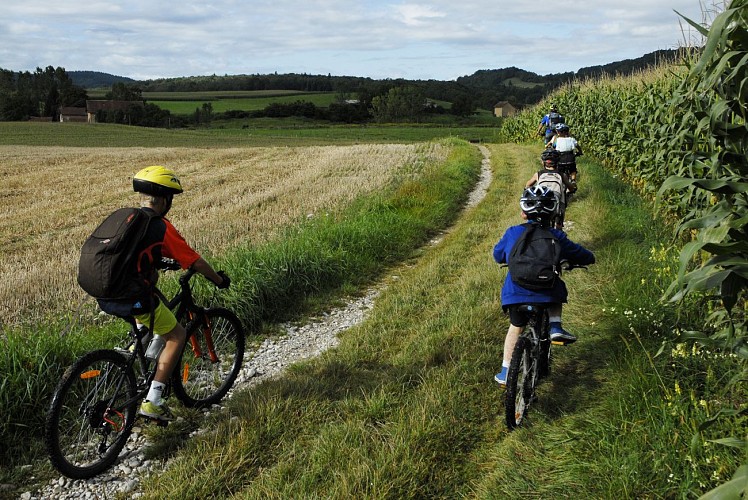 Circuit VTT n° 21 Le champ des vaches