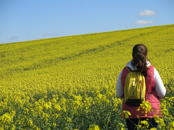 Les Balcons d'Escalles