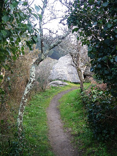 Lanriec - Le Minaouët - Manoir du bois